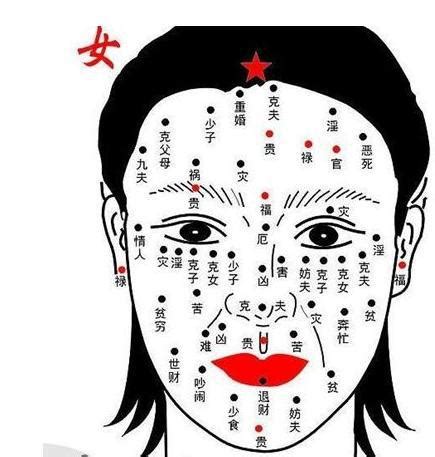 好面相的女人|女命面相图解大全